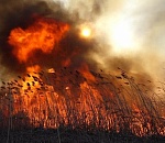 Сегодня астраханцы продолжат задыхаться от запаха гари