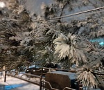 Синоптики снова обещают астраханцам снег: погода на среду, 26 января