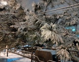 Синоптики снова обещают астраханцам снег: погода на среду, 26 января