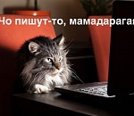 Не дельный обзор. В репертуаре «Ночной ларек» и «Трава у дома»