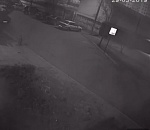 В Астрахани по ночам воруют деревья 