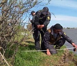 С начала туристической рыбалки в Астраханской области оштрафовали более 170 рыбаков-любителей