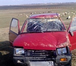 Баран и корова стали причиной двух ДТП в Астраханской области