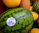 Сезон продажи ранних астраханских арбузов стартует 5 июля 