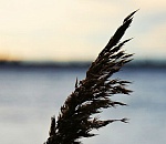 Завтра астраханцев по-прежнему будет донимать пронизывающий ледяной ветер