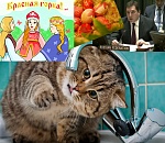 Красная горка без воды. Обзор соцсетей