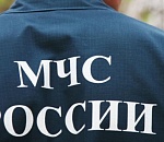 Астраханских предпринимателей разводят мошенники под видом МЧС