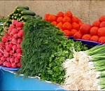 В Астрахани открылись традиционные мини-ярмарки дачников