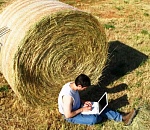 Продолжается голосование на предоставление мобильного интернета одному из астраханских малых сел