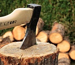 За ущерб лесному фонду России в полмиллиона рублей астраханец отделался "условкой"