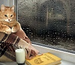 Морось без солнца, день чудесный: астраханцам обещают теплую пятницу 