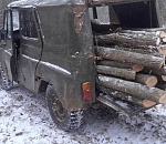 Черного лесоруба с поличным поймали в Астраханской области 