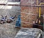 Следователи проводят проверку по факту гибели в астраханской бане двух мужчин