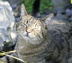 Завтра в Астрахани резко потеплеет