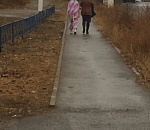 Фото дня: по Астрахани гуляет единорог