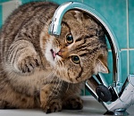 Несчастливая улица: астраханцы каждый день расстаются с холодной водой