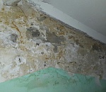 Фото дня: страшный подъезд в Астрахани 