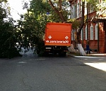 В Астрахани дерево само хотело запрыгнуть в мусоровоз