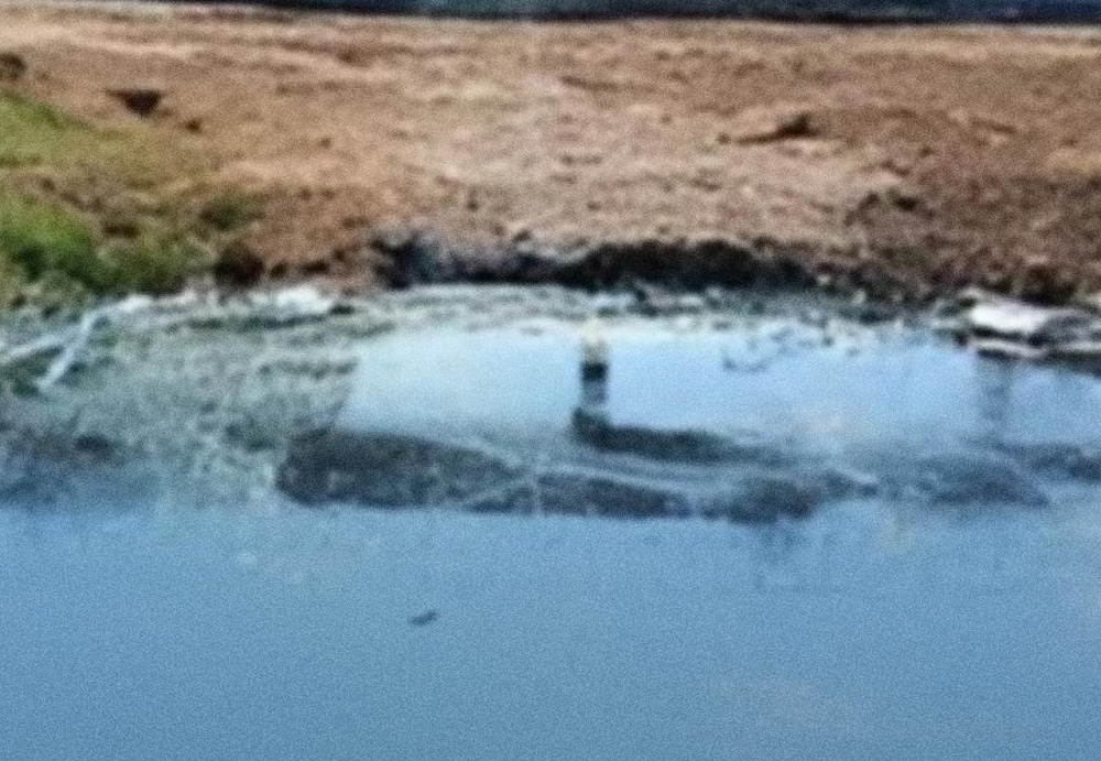 Небезызвестное астраханское предприятие получило миллионный штраф за вред экологии