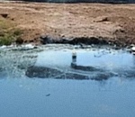 Небезызвестное астраханское предприятие получило миллионный штраф за вред экологии