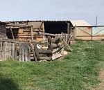 Астраханец обвиняется в жестоком убийстве бывшей возлюбленной