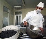 Мораторий для жизни: надолго ли в Каспийском море запретят лов осетров