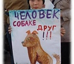 В Астраханской области займутся отловом бездомных животных