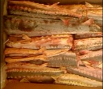 Двое астраханцев, перевозивших в Москву 800 кг осетра, пошли под суд