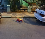 Фото дня: Лилипуты тоже люди