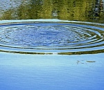 В Астраханской области ищут тело 16-летнего подростка