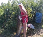 В Астраханской области снова поймали здорового сома 