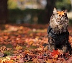 В Астрахани в выходные станет прохладнее