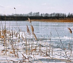 Астраханка предотвратила трагедию на льду