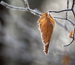  Завтра в Астрахани будет уже не так морозно