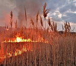 МЧС предупреждает астраханцев о чрезвычайной пожароопасности