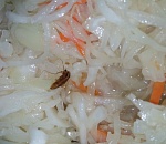 Астраханка купила в известном супермаркете салат с маринованным тараканом 