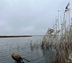 Заблудившегося в тростниковых зарослях охотника спасли в Астраханской области