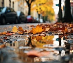 Резкое похолодание придет в Астрахань уже завтра