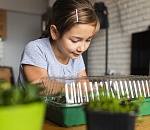 В астраханских школах вводят агроклассы