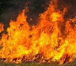 В Астраханской области на пожаре в степной зоне погиб мужчина