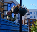 Вазоны с цветами убирают из парков и скверов Астрахани