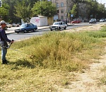 В Астрахани выкашивают сорняки, облегчая жизнь аллергикам
