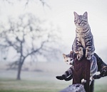 Завтра небо над Астраханью будет хмурым