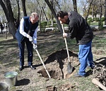 Игорь Седов вместе с детьми и взрослыми сажал деревья на Трусовской стороне