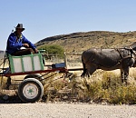 Еще в одном районе Астраханской области села лишились маршруток до райцентра