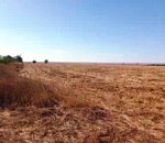 Астраханская область оказалась одним из самых засушливых регионов России в ноябре