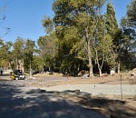 Один из парков в Астрахани скоро будет не узнать