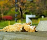 Жара возвращается в Астрахань: завтра столбик термометра подскочит