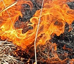 В Астрахани снова горит сухая растительность