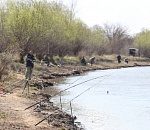 Иногородние рыбаки наловили в Астрахани кучу штрафов